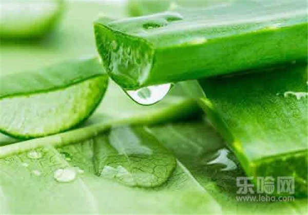 珍珠粉面膜怎么做补水，珍珠粉加这5种东西，补水作用最强！ 护肤 第4张