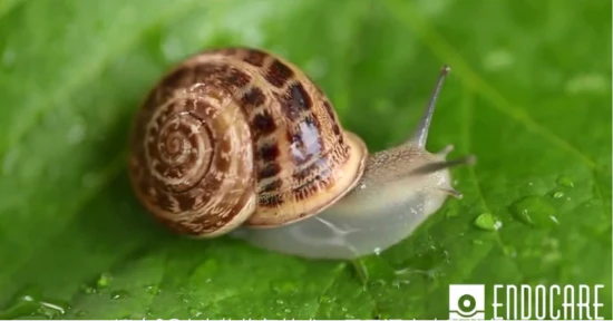 明星大V都在用肌肤小情绪有安多可5号急救安瓶就够了 护肤 安瓶怎么样 安多可5号急救安瓶 美容 第4张