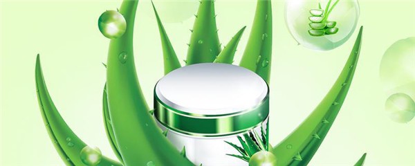 维生素e加芦荟胶的作用，芦荟胶加维e可以天天用吗 护肤 第1张