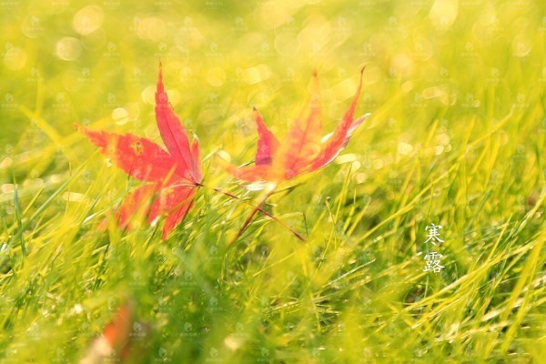 护肤品用了一半没用完,来年还能用吗 护肤品 第1张 护肤品用了一半没用完,来年还能用吗 护肤品 第1张