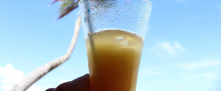 苹果醋的好处 苹果醋 美妆 第2张