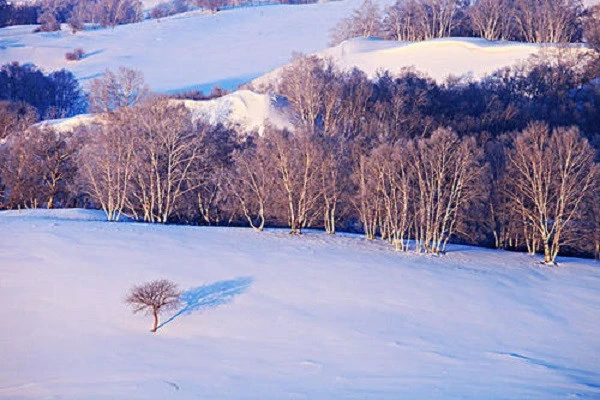 冬季脸部过敏有什么处理方法 皮肤 第2张