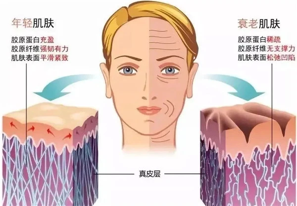 新年限定版资生堂旗下「性价比之王」又出水乳大容量套装 资生堂 第6张
