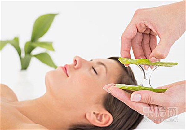 鲜芦荟怎么做面膜 护肤 第1张 鲜芦荟怎么做面膜 护肤 第1张