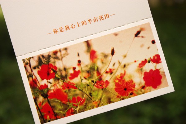 半亩花田这个牌子怎样网友是如何评价的 海藻 第1张