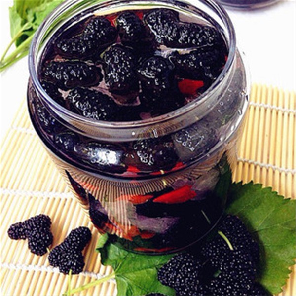 黑色水果富含维生素C让肌肤白嫩，乌梅抗衰老 水果 维生素 第1张