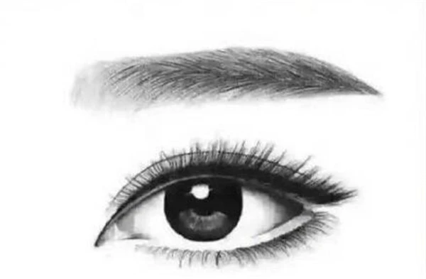 平粗眉适合长脸瓜子脸，帮助缓和艳丽的五官 平粗眉 瓜子脸 第2张