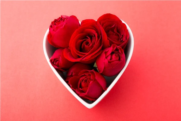 半亩花田玫瑰纯露应该如何使用才是正确的 玫瑰 第2张