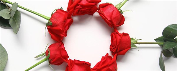 玫瑰精油每天擦脸可以吗，玫瑰精油擦脸会变黑吗 护肤 第1张