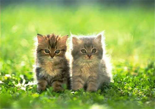 防晒10大误区 护肤 第5张 防晒10大误区 护肤 第5张