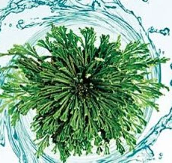 本来只想「伪素颜」,没想到爱怡美素颜霜连色斑都帮我祛除了 素颜 爱怡美素颜霜 美妆 第4张 本来只想「伪素颜」,没想到爱怡美素颜霜连色斑都帮我祛除了 素颜 爱怡美素颜霜 美妆 第4张