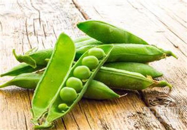 美白祛斑吃什么最好 护肤 第1张