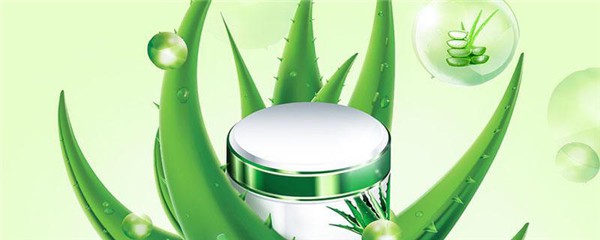 芦荟胶在护肤的第几步用，芦荟胶用久了脸会变黑吗 护肤 第1张