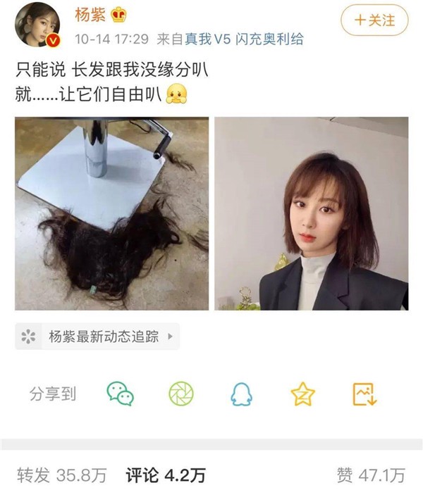 杨紫梳短发造型高级感十足，杨紫短发发型编发 杨紫 短发 第1张