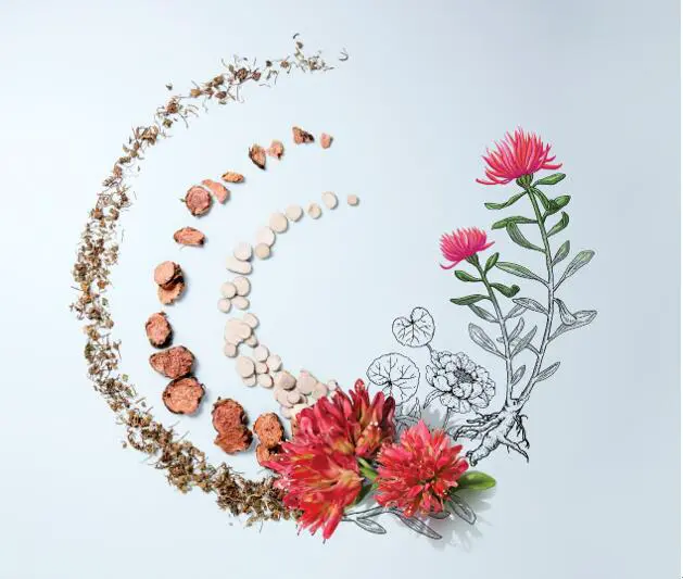 亮相美博会，相宜本草红景天小红瓶吸粉无数 美博会 相宜本草 上海美博会 红景天小红瓶 美妆 第3张