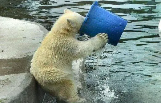脸部出油好不好，脸部出油的四大好处 脸部出油 美容 第2张