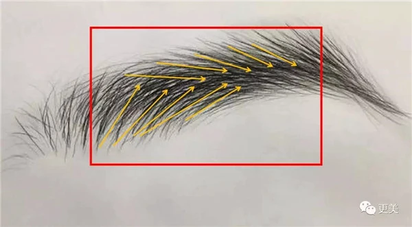 细弯眉妆容打造超强时尚感和精致度，细弯眉画法 细弯眉 时尚感 第30张