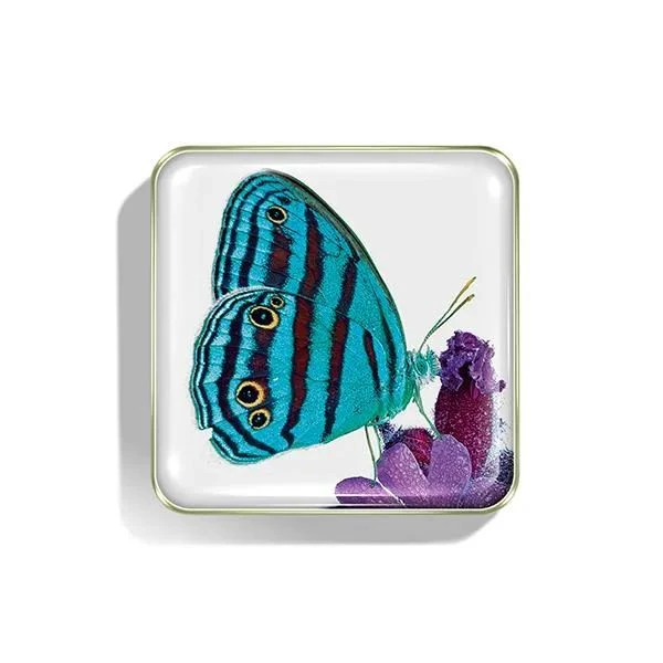 香缇卡推出第31款蝶舞翩翩慈善彩妆系列​「2021春季限量」 香缇卡 彩妆 第3张