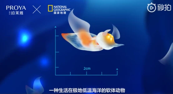 去溯源，「去发现」，海洋珀莱雅再升级， 珀莱雅 国货美妆品牌 美妆 第3张