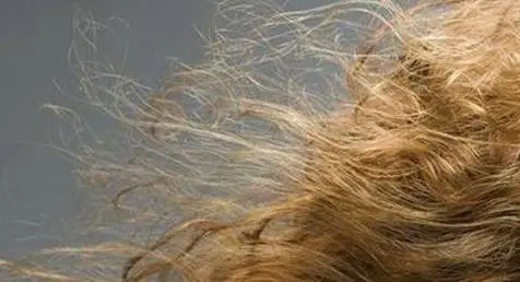 发质不好毛躁怎么改善 护发 改善发质 美妆 第2张