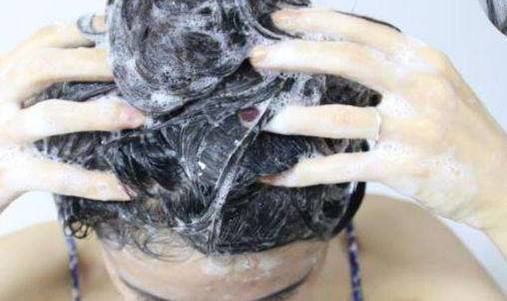 洗发露是不是洗发水 洗发露 洗发水 美妆 第1张