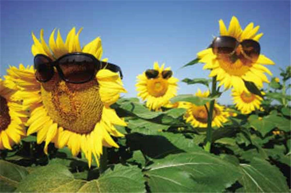 防晒10大误区 护肤 第8张 防晒10大误区 护肤 第8张