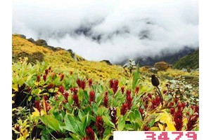 纯天然无激素的护肤品，哪种护肤品不含激素