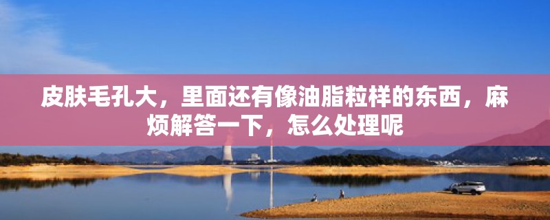皮肤毛孔大,里面还有像油脂粒样的东西,麻烦解答一下,怎么处理呢 皮肤毛孔大,里面还有像油脂粒样的东西,麻烦解答一下,怎么处理呢