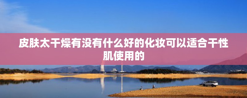 皮肤太干燥有没有什么好的化妆可以适合干性肌使用的