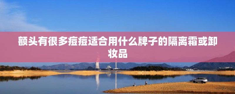 额头有很多痘痘适合用什么牌子的隔离霜或卸妆品 额头有很多痘痘适合用什么牌子的隔离霜或卸妆品