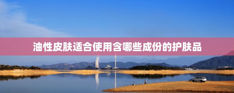 油性皮肤适合使用含哪些成份的护肤品