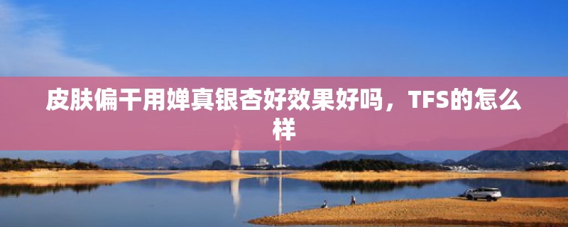 皮肤偏干用婵真银杏好效果好吗，TFS的怎么样