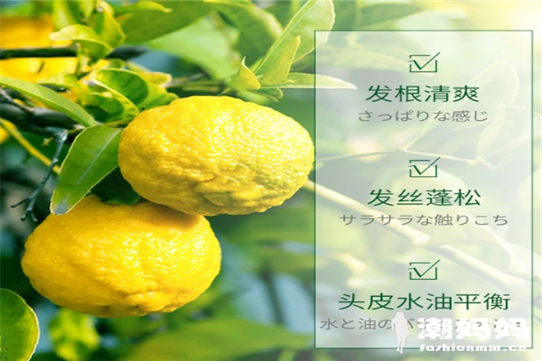 丝蕴日本柚子洗发水成分如何？日本丝蕴洗发水怎么样