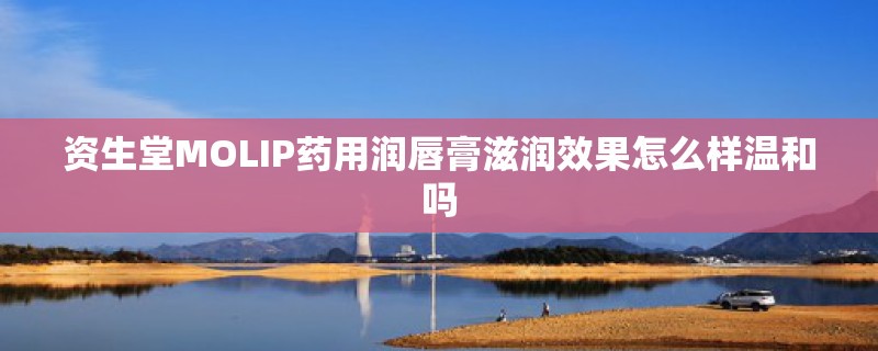 资生堂MOLIP药用润唇膏滋润效果怎么样温和吗