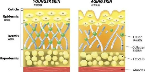 想要比同龄人老得慢,坚持这3个好习惯,皮肤会逐渐细腻有光泽