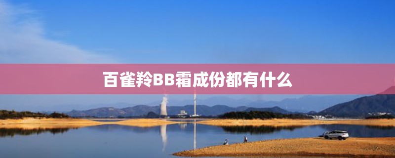 百雀羚BB霜成份都有什么