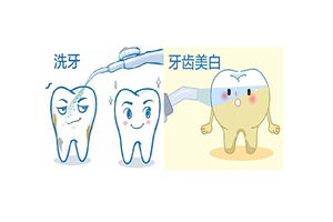 洗牙有必要吗，洗牙有什么作用