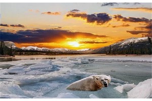 晒后美白的方法，晒后怎么补救修复