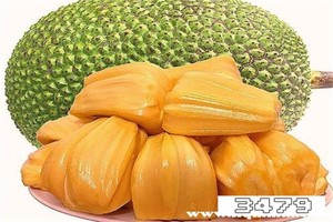 这些人千万不能吃菠萝蜜，菠萝蜜不适合什么人吃