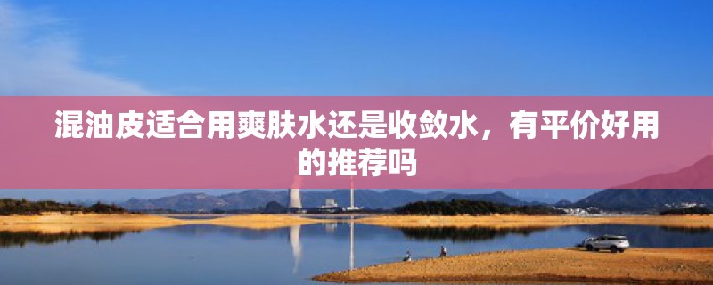 混油皮适合用爽肤水还是收敛水，有平价好用的推荐吗