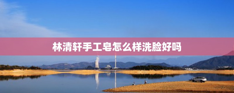 林清轩手工皂怎么样洗脸好吗