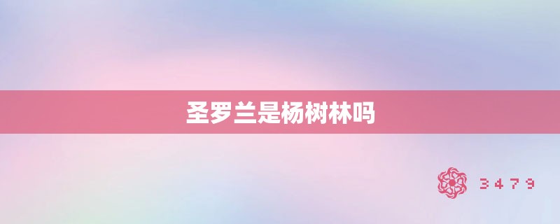 圣罗兰是杨树林吗