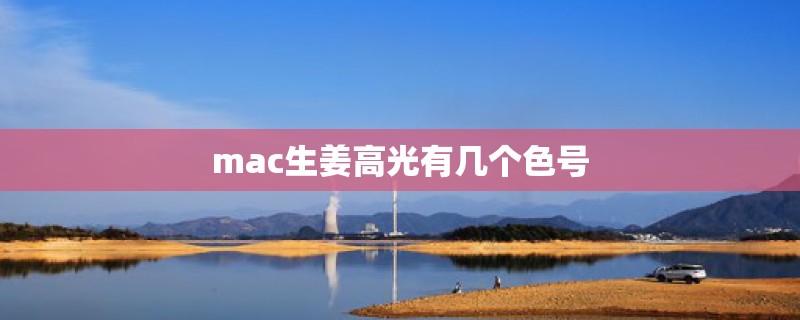 mac生姜高光有几个色号