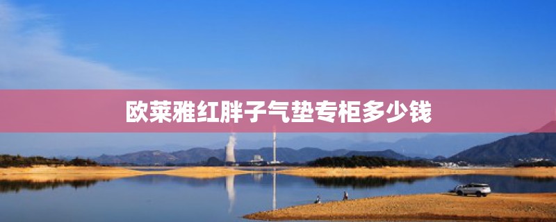 欧莱雅红胖子气垫专柜多少钱