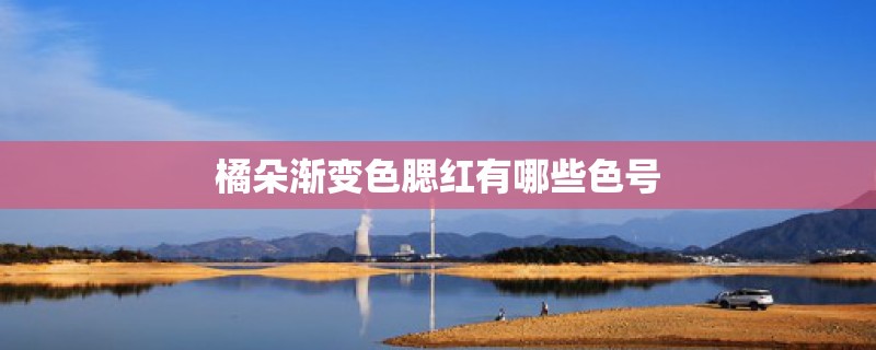 橘朵渐变色腮红有哪些色号