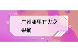 广州哪里有火龙果摘？