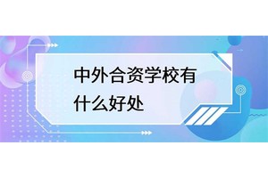 中外合资学校有哪些好处？
