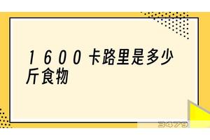 1600卡路里是多少斤食物