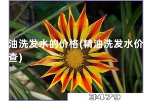 精油洗发水的价格「精油洗发水价格调查」