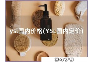 ysl国内价格「YSL国内定价」